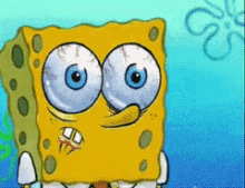 Sponge Bob